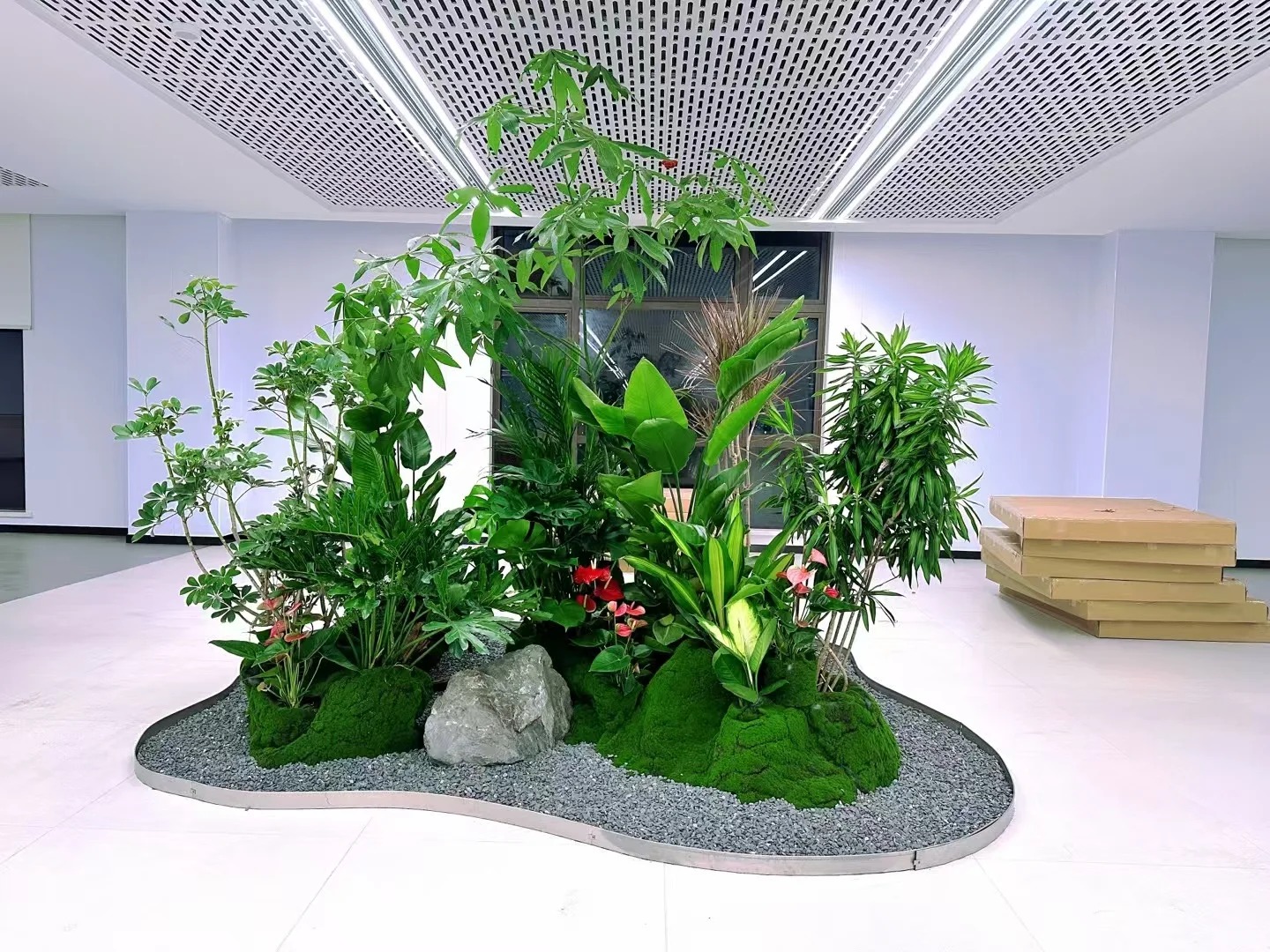 专业余姚盆景租摆,开启精致景观之旅