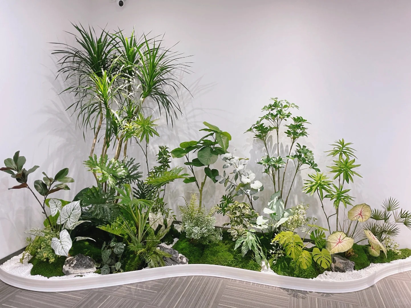 专业余姚盆景租摆,开启精致景观之旅